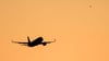 Die Polizei hat einen betrunkenen Passagier aus einem Flugzeug geholt. (Symbolbild)