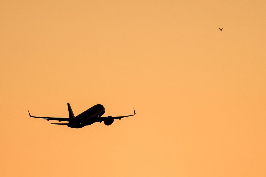 Die Polizei hat einen betrunkenen Passagier aus einem Flugzeug geholt. (Symbolbild)