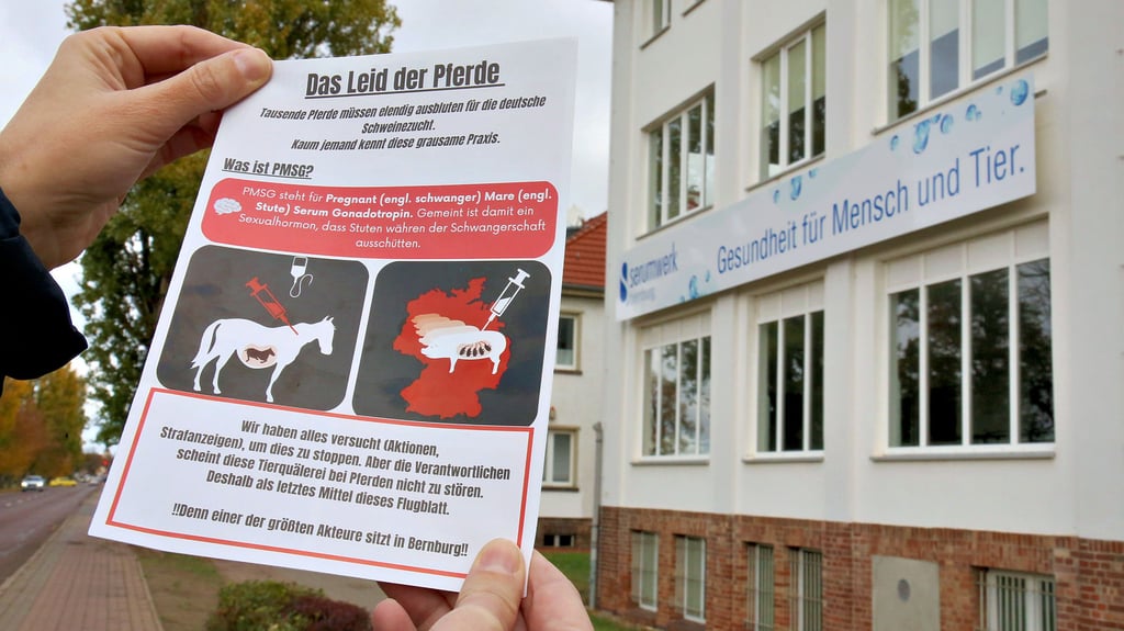 Protrst gegen ein Hormonpräparat, für dessen Herstellung angeblich Tiere gequält werden:  Dieses Flugblatt wurde am Wochenende zu Tausenden in den Briefkästen der Bernburger verteilt.