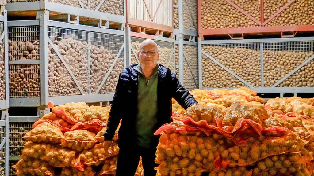 Ulf Gehrmann, Vorsitzender der Agrargenossenschaft Zörbig, steht in einem vollen Kartoffellager. Die Bedingungen waren in diesem Jahr ideal.