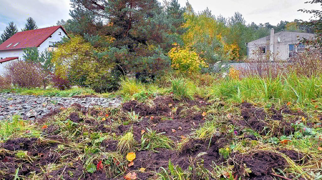 Der Garten von Eberhard Waßersleben in Nudersdorf gleicht inzwischen einer aufgewühlten Baustelle. Aufgerissene Erde zeugt von nächtlichen Besuchen durch Wildschweine. Immer wieder dringen die Tiere bei dem Rentner in den Garten ein.