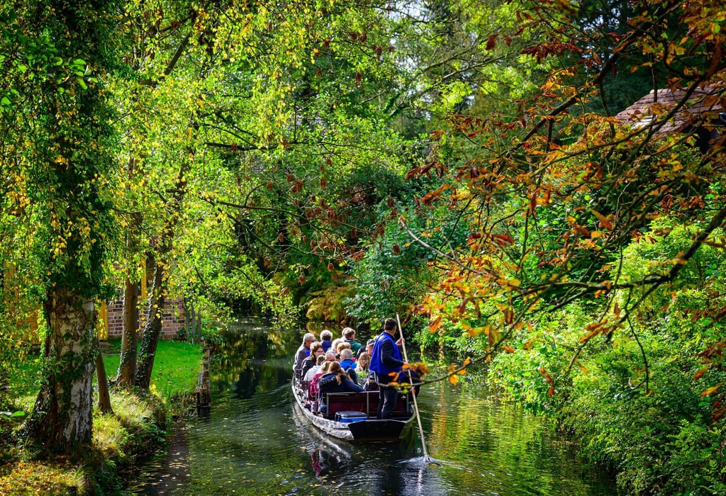 Auch ein Ausflug in die Natur kann glücklich machen. (Symbolbild)