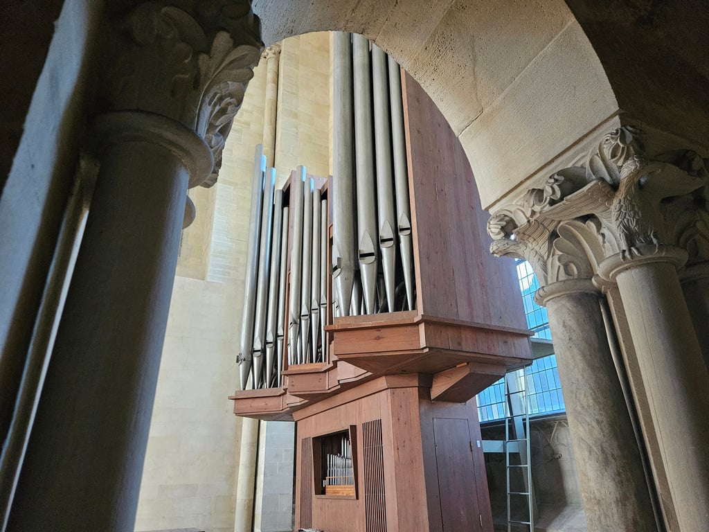 Blick aus dem Bischofsgang auf die Paradiesorgel im Magdeburger Dom.