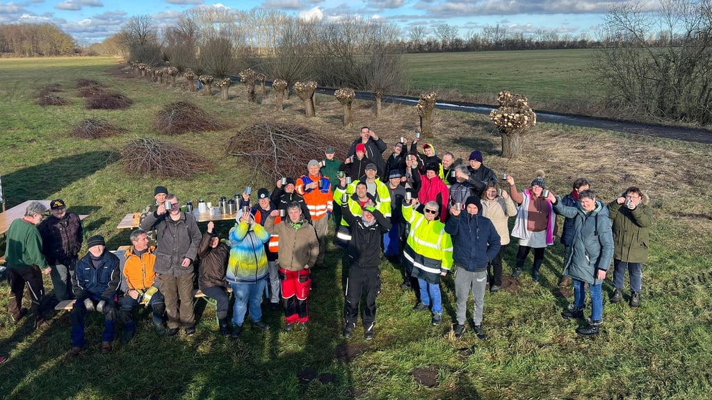 Bei Wind und Wetter stehen die Helfer im Biosphärenreservat bereit, wie hier bei der Kopfweidenpflege in der Ortschaft Niendorf.