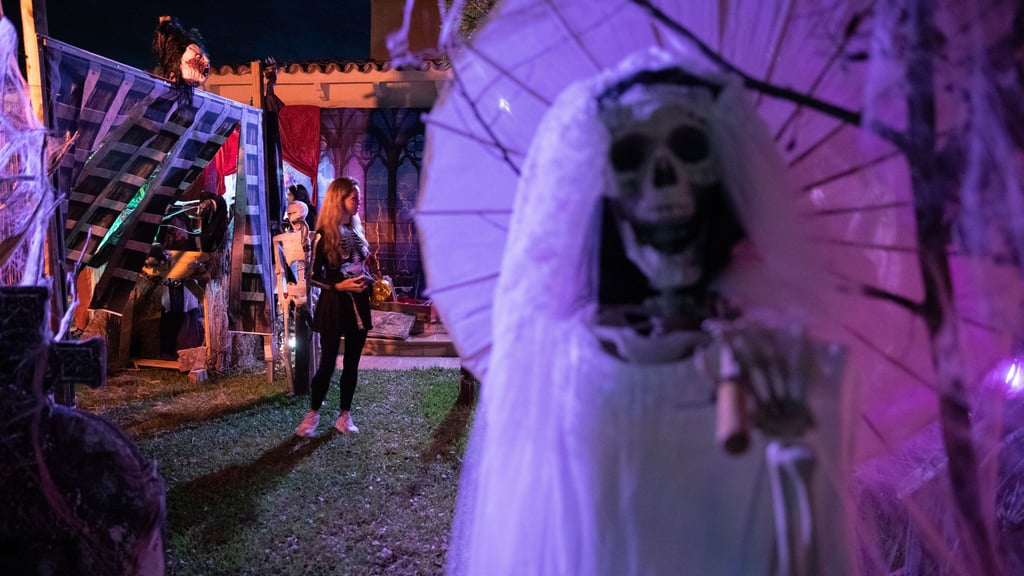 Geschnitzte Kürbisse werden auch auf den verschiedenen Veranstaltungen im Landkreis Börde am Halloween-Wochenende zu sehen sein.