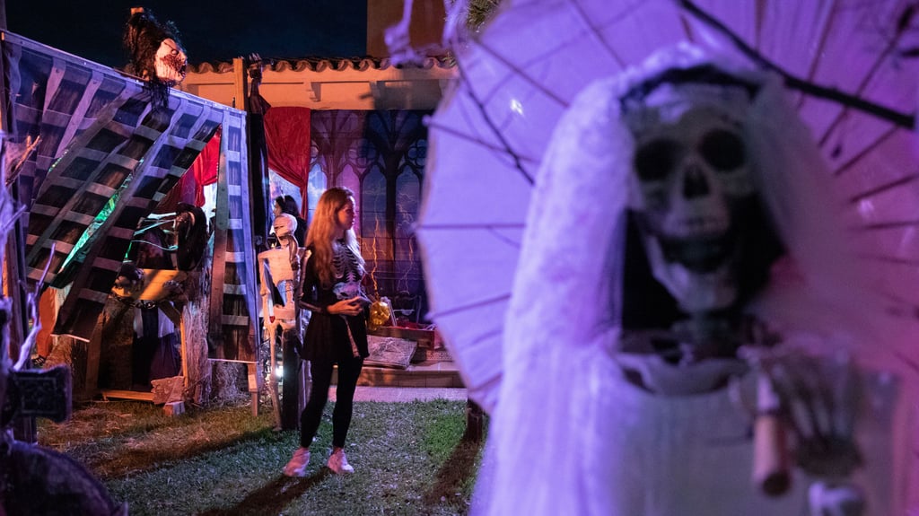 Geschnitzte Kürbisse werden auch auf den verschiedenen Veranstaltungen im Landkreis Börde am Halloween-Wochenende zu sehen sein.