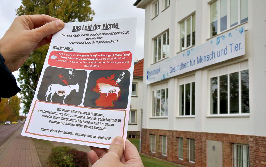 Dieses Flugblatt wurde am Wochenende zu Tausenden in den Briefkästen der Bernburger verteilt.