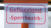 DieGeflügelpest hat jetzt auch die Zerbster Region erreicht.