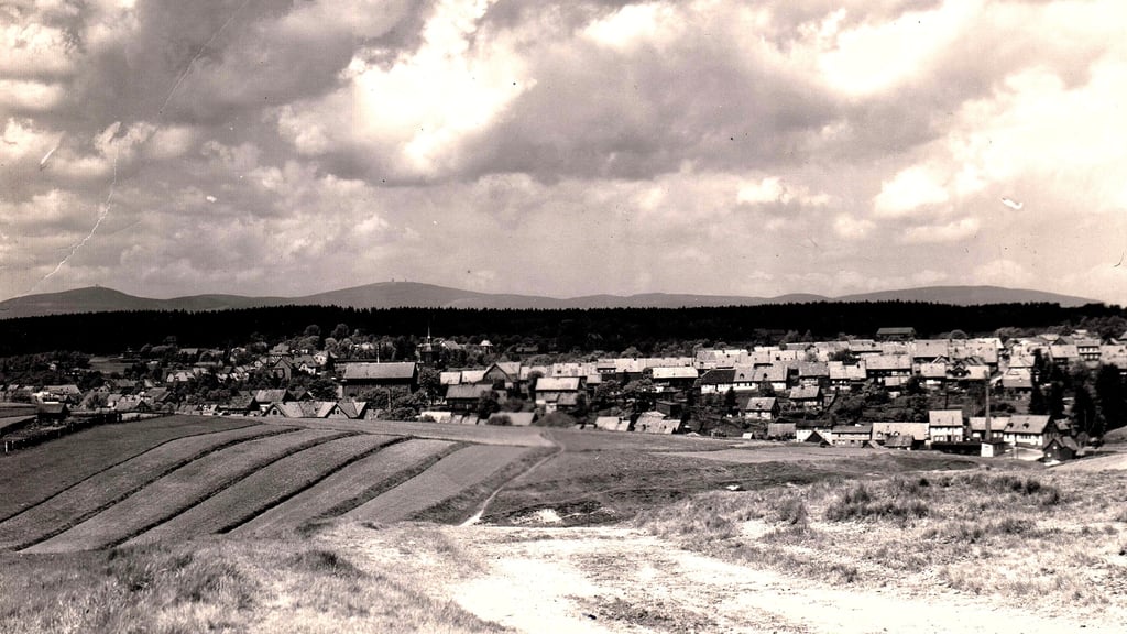 Eine landwirtschaftliche Fläche bei Benneckenstein um das Jahr 1920.