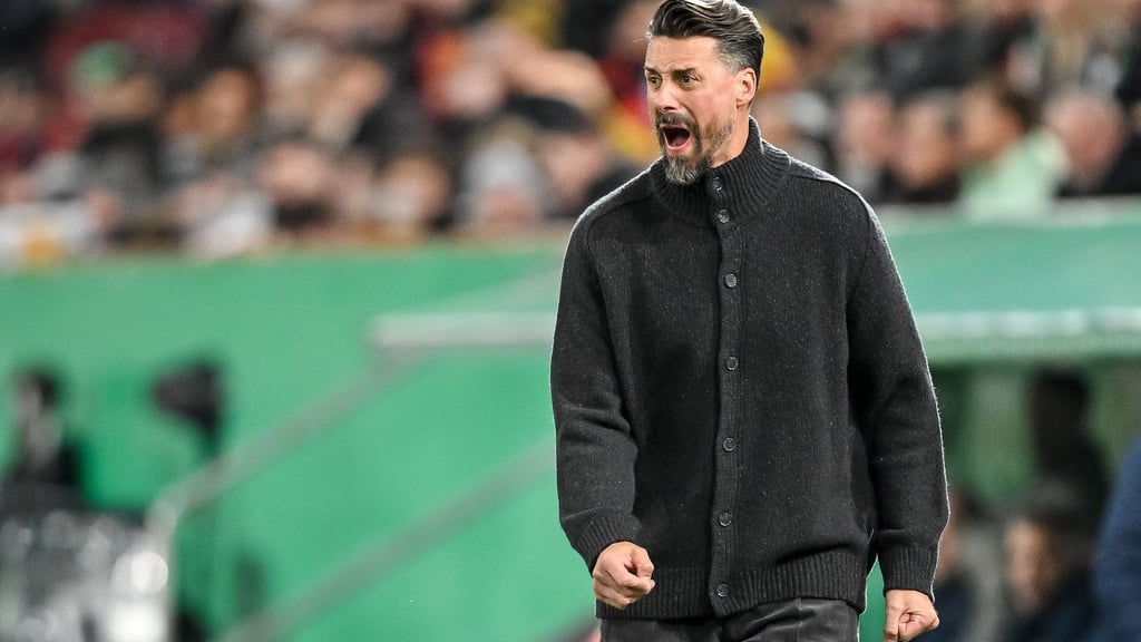 Der Frust muss raus: Sandro Wagner schreit am Spielfeldrand.