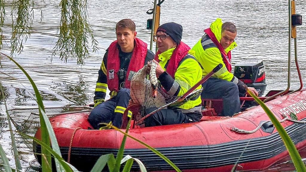 Kameraden der Feuerwehr helfen beim Einfangen