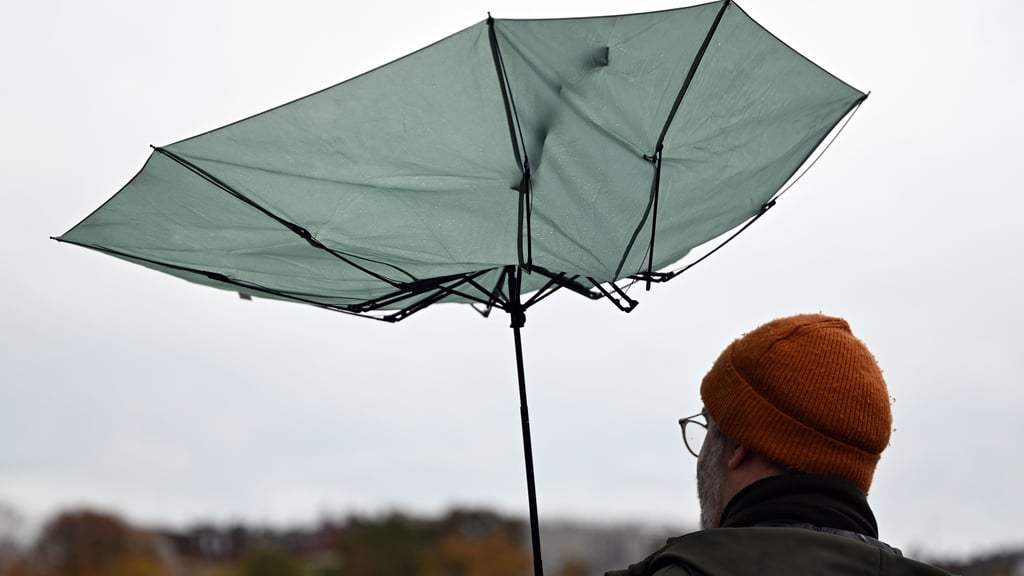 In Sachsen-Anhalt steht eine stürmische Oktoberwoche bevor. Meteorologen warnen vor starken Windböen.