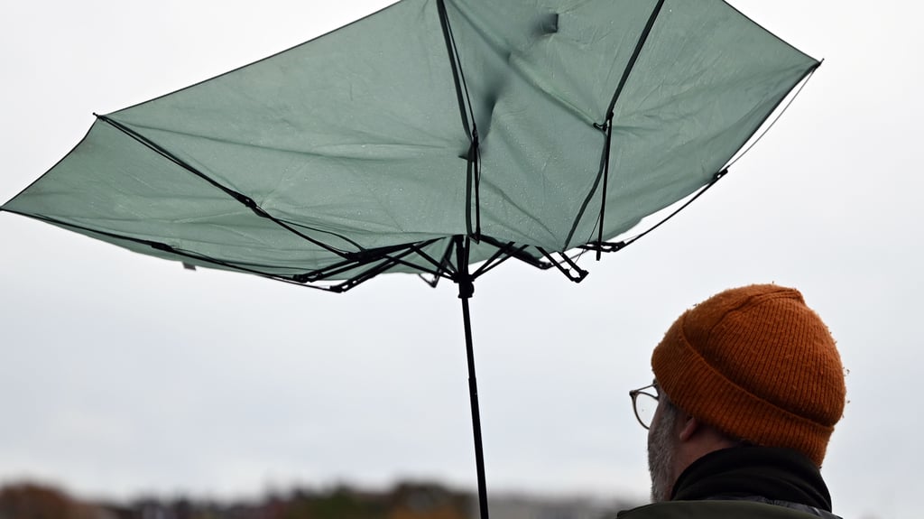 In Sachsen-Anhalt steht eine stürmische Oktoberwoche bevor. Meteorologen warnen vor starken Windböen.