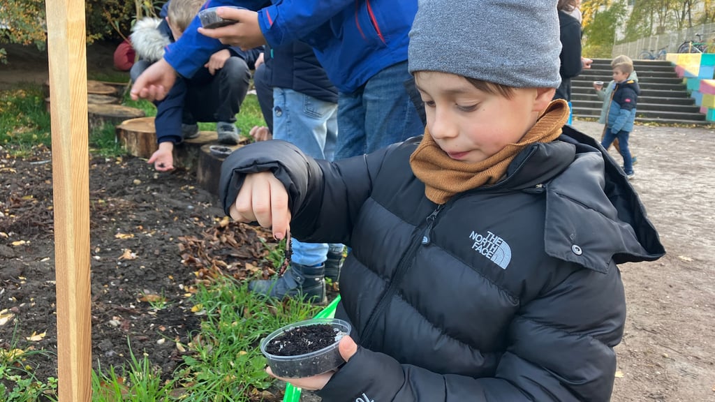 Der Zweitklässler Sascha hat mit seinen Mitschülern Tausende Regenwürmer auf den Grünflächen der Grundschule „Am Ludwigsfeld“ verteilt.