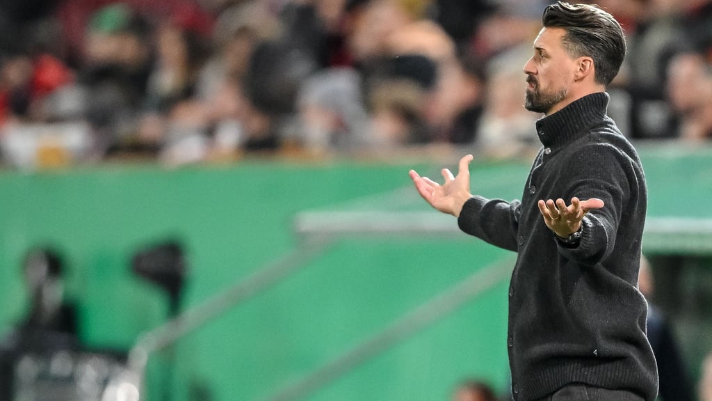 Auch im DFB-Pokal steht Sandro Wagner wieder mit leeren Händen da.