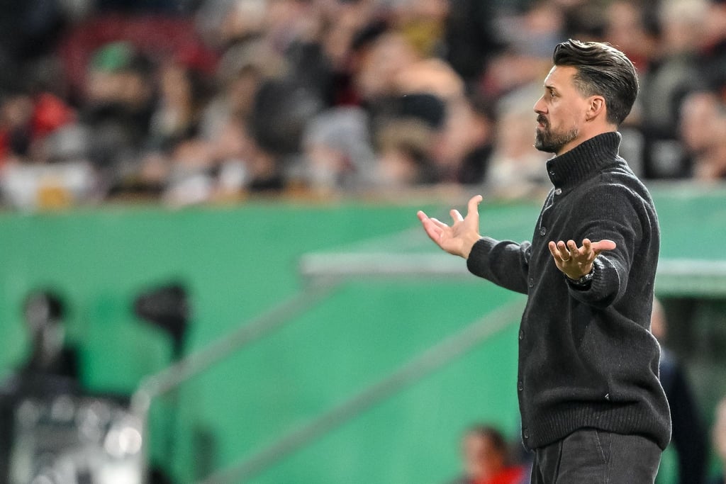 Auch im DFB-Pokal steht Sandro Wagner wieder mit leeren Händen da.