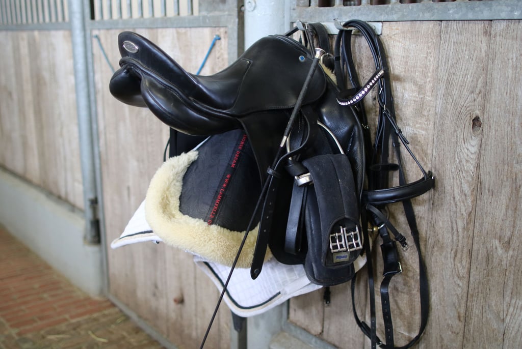 Ein Sattel mit Zaumzeug. In Magdeburg wurden mehrere Sättel und weitere Reitsportausrüstung gestohlen.