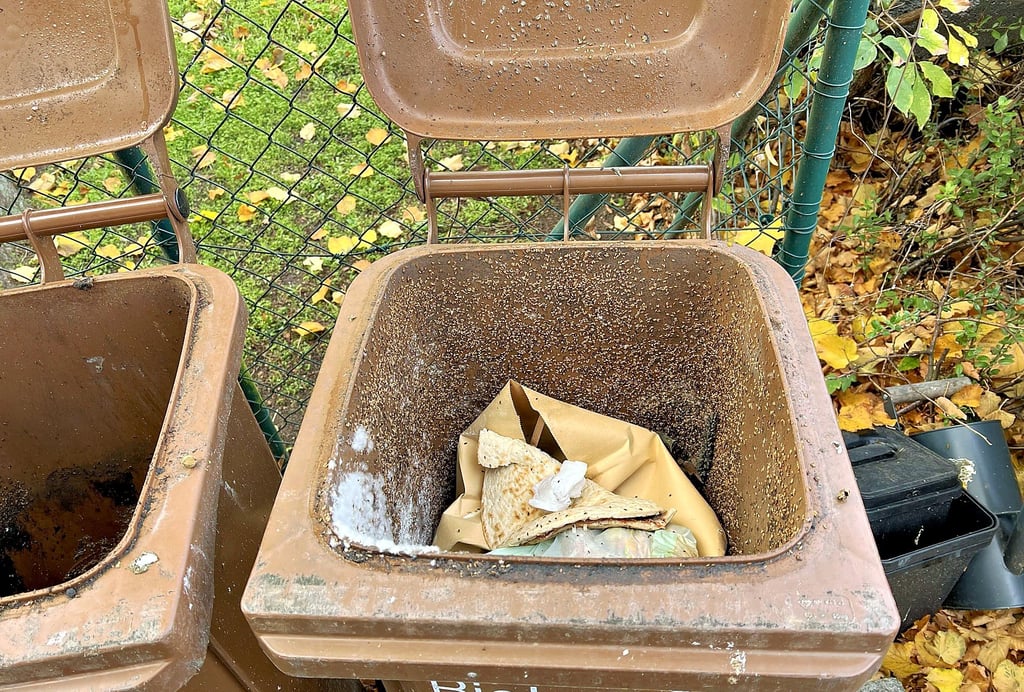 Der Ärger über höhere  Müllgebühren im Kreis Stendal war vor Jahren groß. Ein Kostentreiber ist die Entsorgung von Bioabfällen. Das zeigt sich auch in den neuen Abfallgebühren, über die der Kreistag befinden muss.