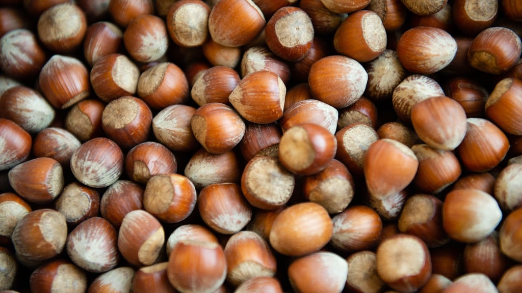 Die Haselsnussernte ist in Italien so schlecht ausgefallen wie seit Jahrzehnten nicht mehr. (Archivbild)