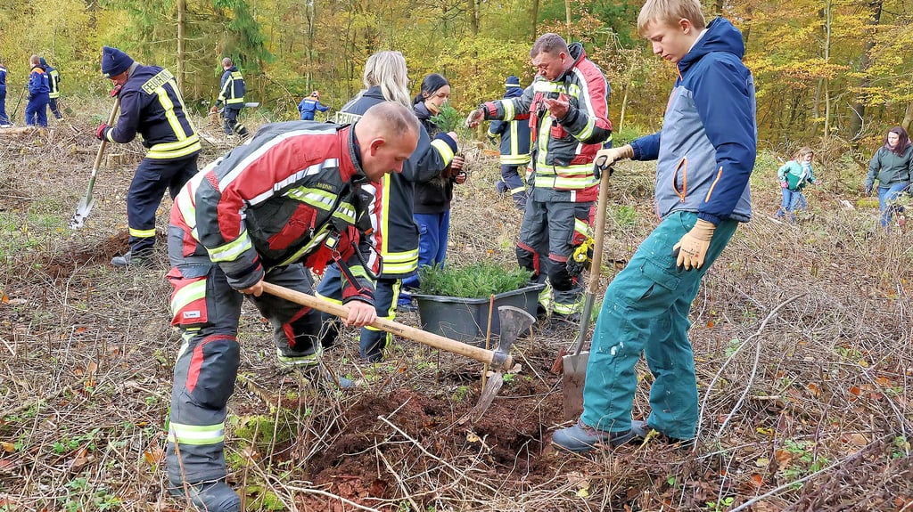 Leimbachs Wehrleiter André Stephan (l.) und Ben Luca Franz beim Pflanzen einer von  200 Weißtannen im Riestedter Forst. 