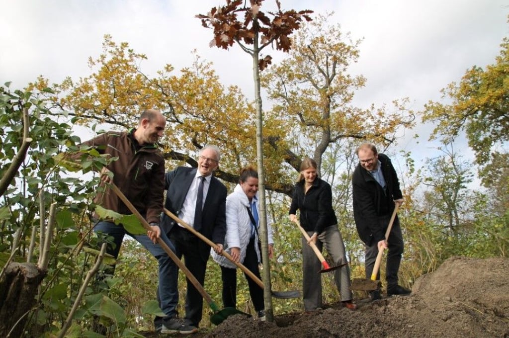 Einen Baum in Halle gepflanzt hat Ministerpräsident Reiner Haseloff in Halle.