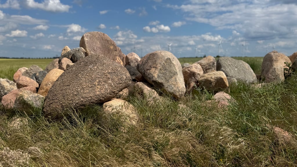 In Salzwedel eskalierte ein Nachbarschaftsstreit, der sich über zehn Jahre aufgebaut hatte. Angefangen hatte alles mit Steinen an der Grundstücksgrenze.&nbsp;