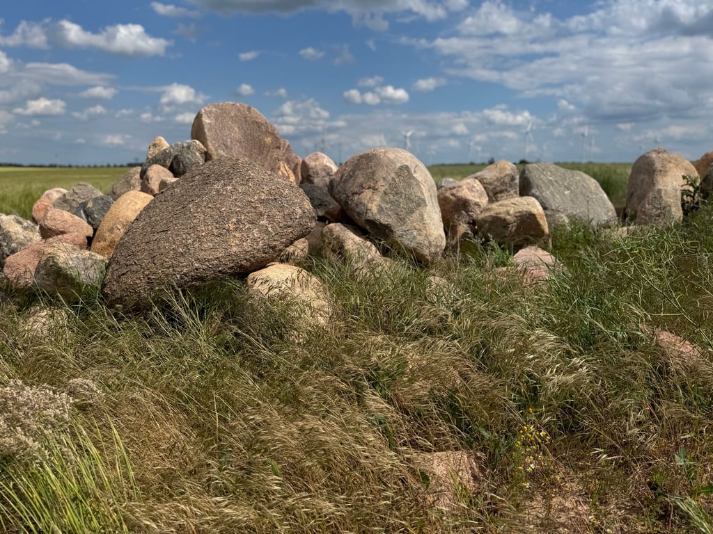 Wegen einer Steingrenze zwischen ihren Grundstücken gerieten die Nachbarn aneinander.