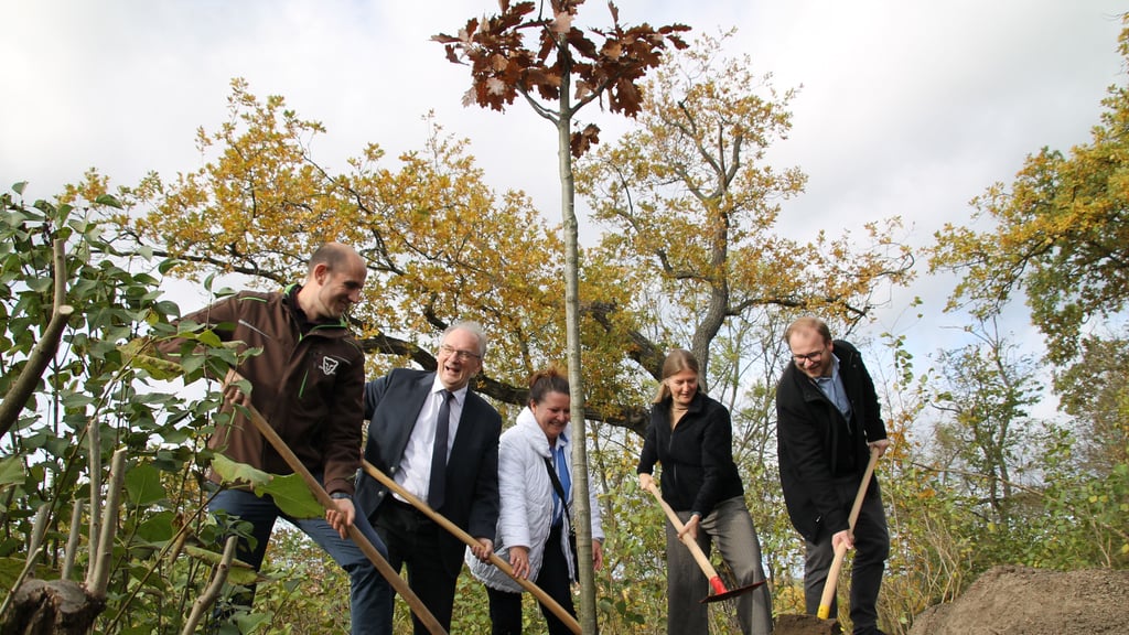 Einen Baum in Halle gepflanzt hat Ministerpräsident Reiner Haseloff.