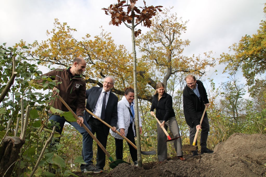 Einen Baum in Halle gepflanzt hat Ministerpräsident Reiner Haseloff.