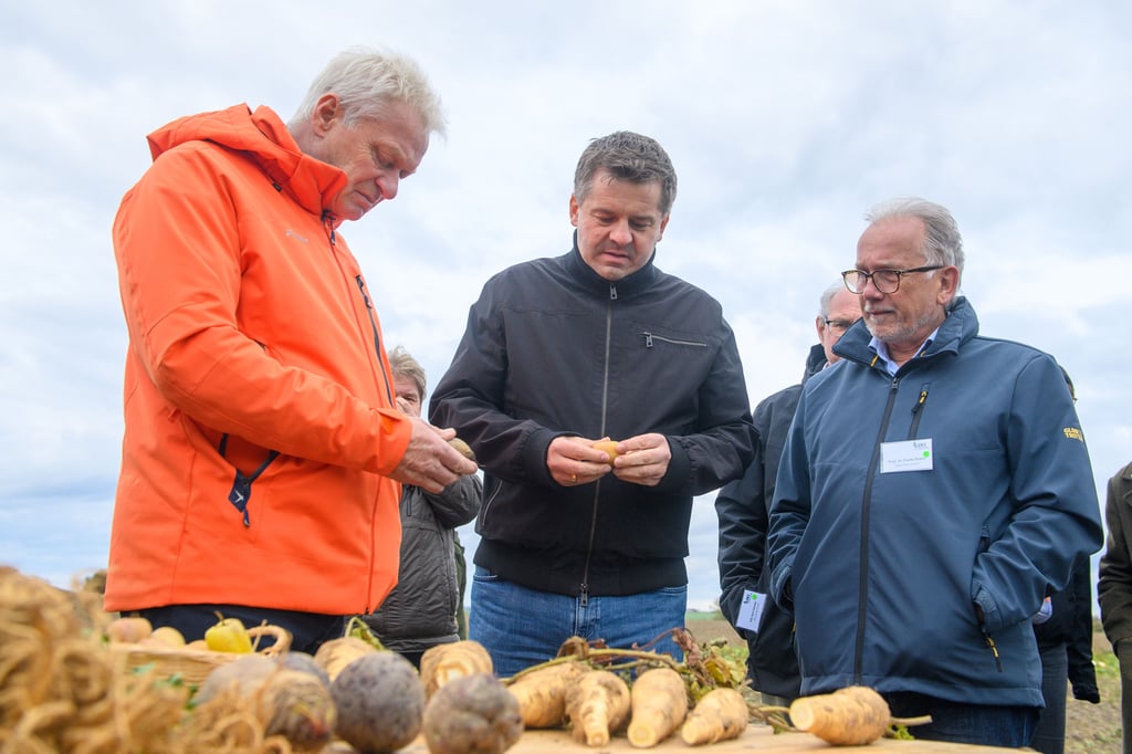 Alois Rainer (l-r, CSU), Bundesminister für Landwirtschaft, Ernährung und Heimat, Sven Schulze (CDU), Minister für Wirtschaft, Tourismus, Landwirtschaft und Forsten des Landes Sachsen-Anhalt und Frank Ordon, Präsident des Julius-Kühn-Instituts stehen auf einer Acker hinter einem Tisch mt Kartoffeln, Zuckerrüben, und Rote Beete. 
