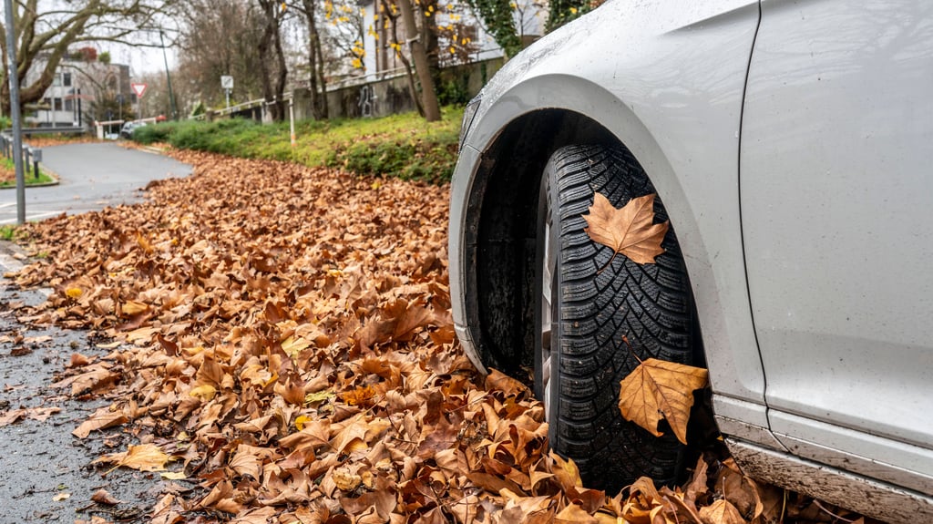 Im Herbst machen Laub und defekte Straßen den Autofahrern zu schaffen.