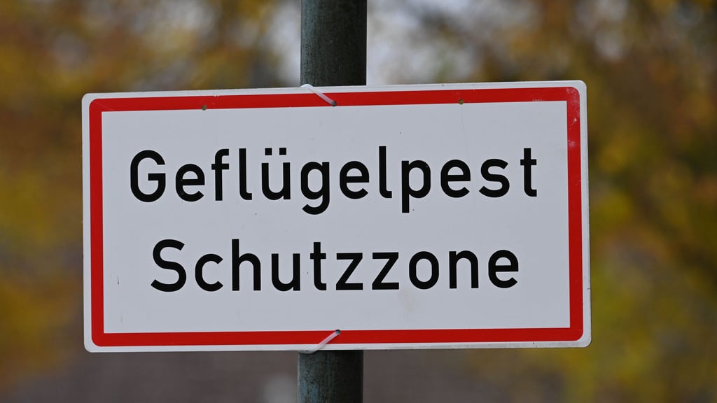 Die Vogelgrippe ist im Landkreis offiziell aufgetreten. Die Kreisverwaltung stellt klare Regeln auf.