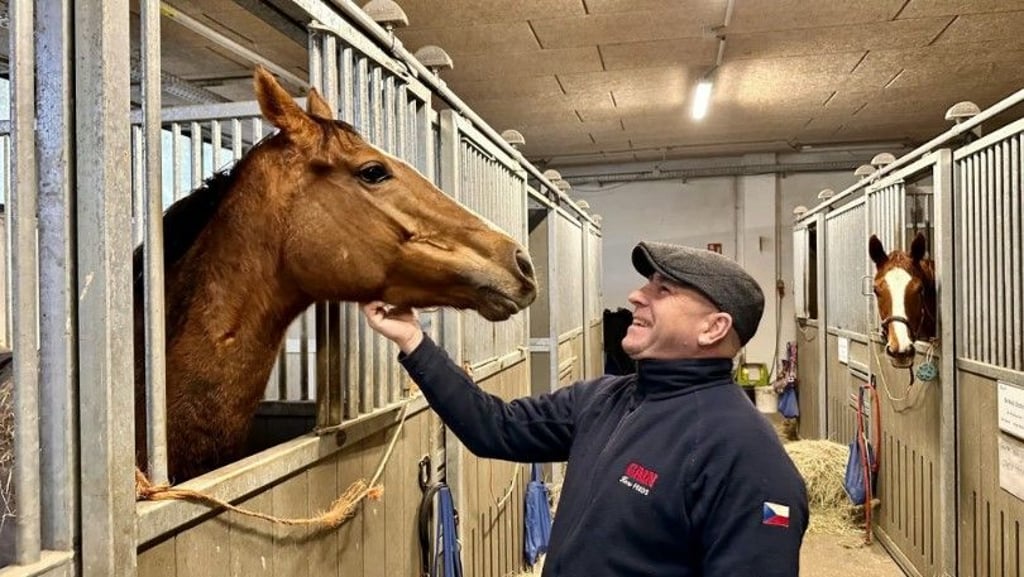 Dieses Jahr ein erfolgreiches Team: Jan Korpas mit Halles Galopp-Queen Rosel.