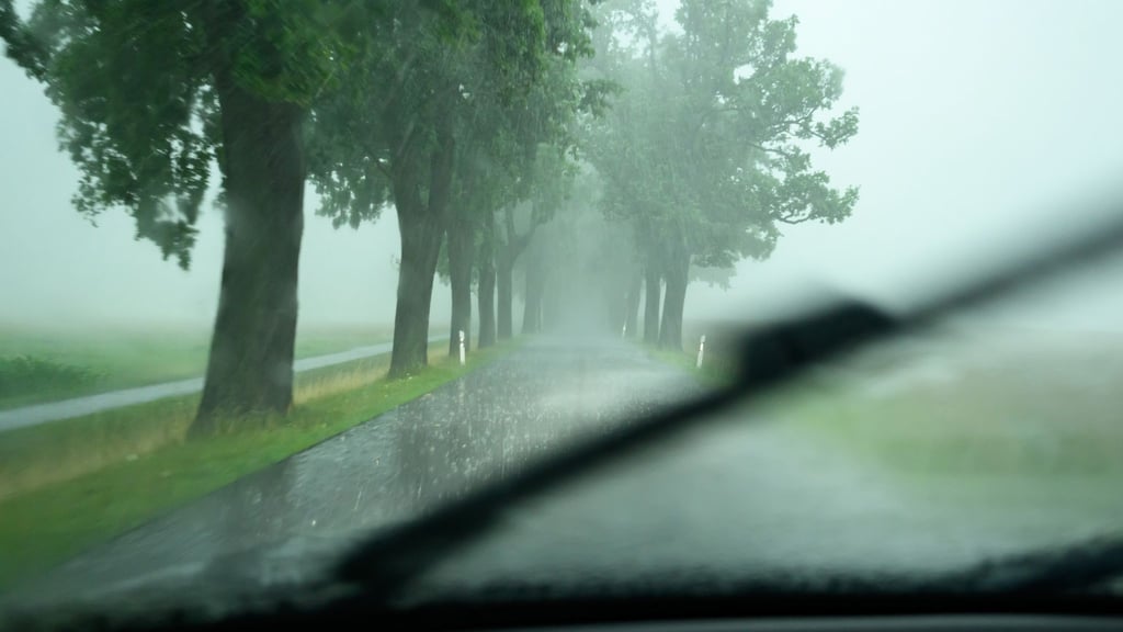 Seit Beginn der Statistik vor 30 Jahren verloren in Sachsen-Anhalt 1.774 Menschen bei Unfällen an Bäumen ihr Leben - die meisten von ihnen auf Landstraßen. (Symbolbild)