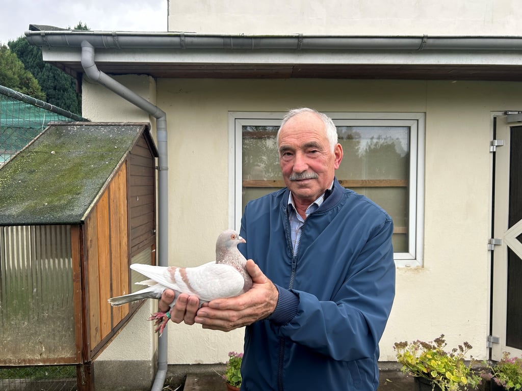 Lothar Ulmen züchtet seit seiner Jugend Tauben und Hühner. Die Vogelgrippe macht dem Magdeburger nun Sorgen.