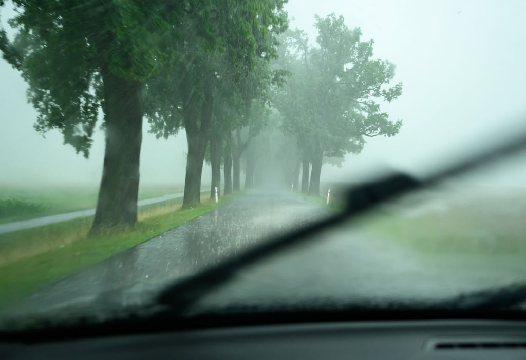 Seit Beginn der Statistik vor 30 Jahren verloren in Sachsen-Anhalt 1.774 Menschen bei Unfällen an Bäumen ihr Leben - die meisten von ihnen auf Landstraßen. (Symbolbild)