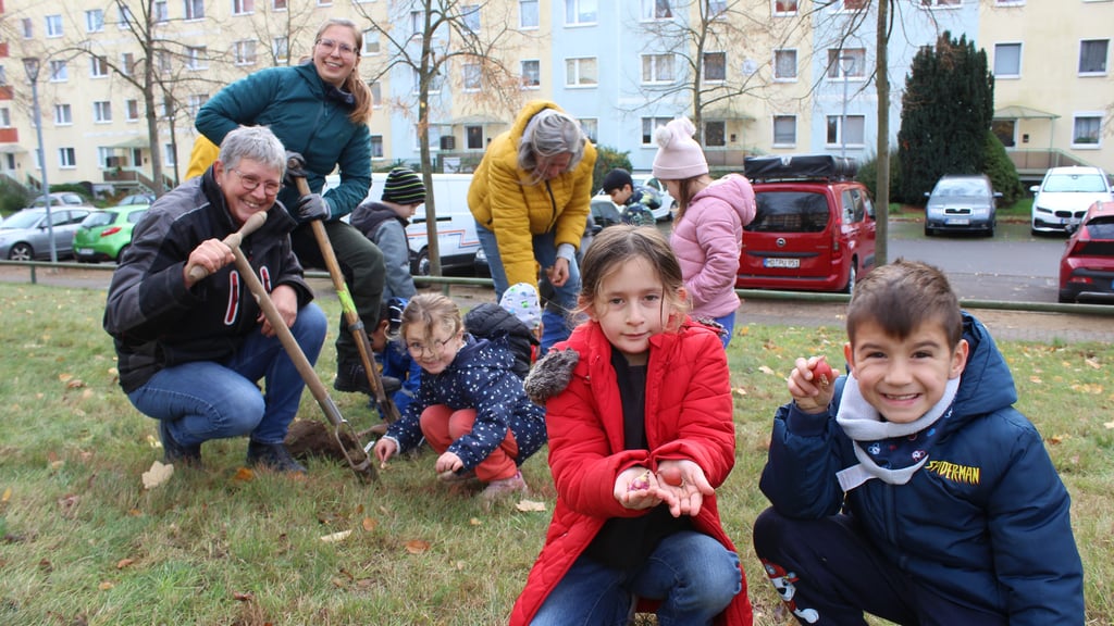Filip (r.) und Asmin aus der Erich-Kästner-Grundschule zeigen die kleinen Zwiebeln. Aisha steckt mithilfe von Jolanda van Amerom die Frühlingszwiebel in die Erde. Stephanie Otto gräbt dabei mit dem Spaten ein größeres Loch für die Narzissen-Zwiebel.