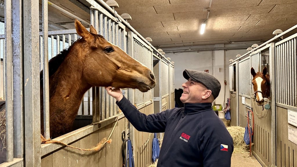 Dieses Jahr ein erfolgreiches Team: Jan Korpas mit Halles Galopp-Queen Rosel.