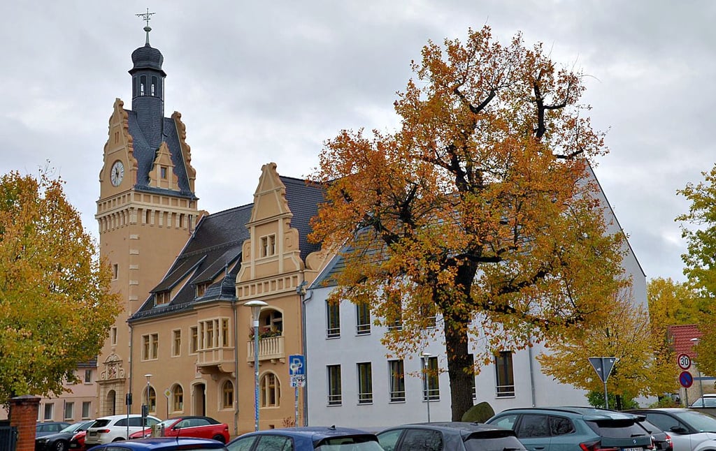 Die Arbeit des Verwaltungsleiters in Güsten steht unter Beschuss.