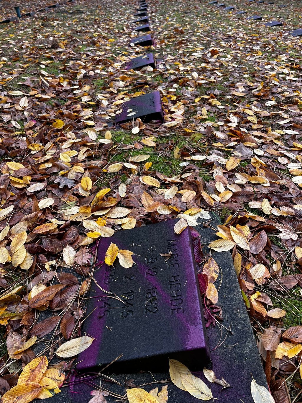 Unbekannte haben Dutzende Kriegsgräber auf dem Friedhof Reinickendorf beschmiert.