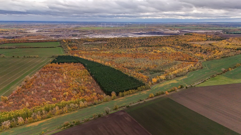 Luftbild Gelände geplante MUEG-Deponie DK 1 nördlich des Tagebaus Profen