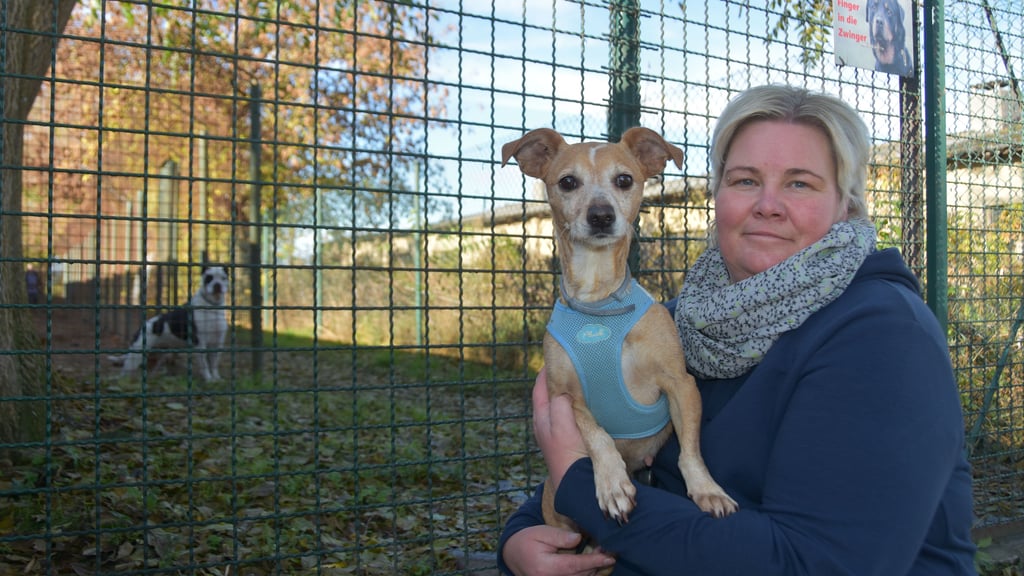 Kathrin Behrens und Hündin Erika vor der stark beschädigten Auslaufanlage des Tierheims Satuelle. Hund Carlos verfolgt aufmerksam das Geschehen.