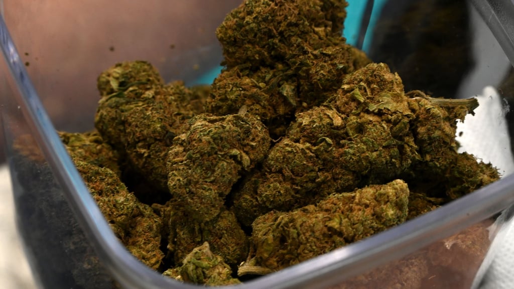 Die Polizei in Halle entdeckte neben Cannabis auch eine Machete.