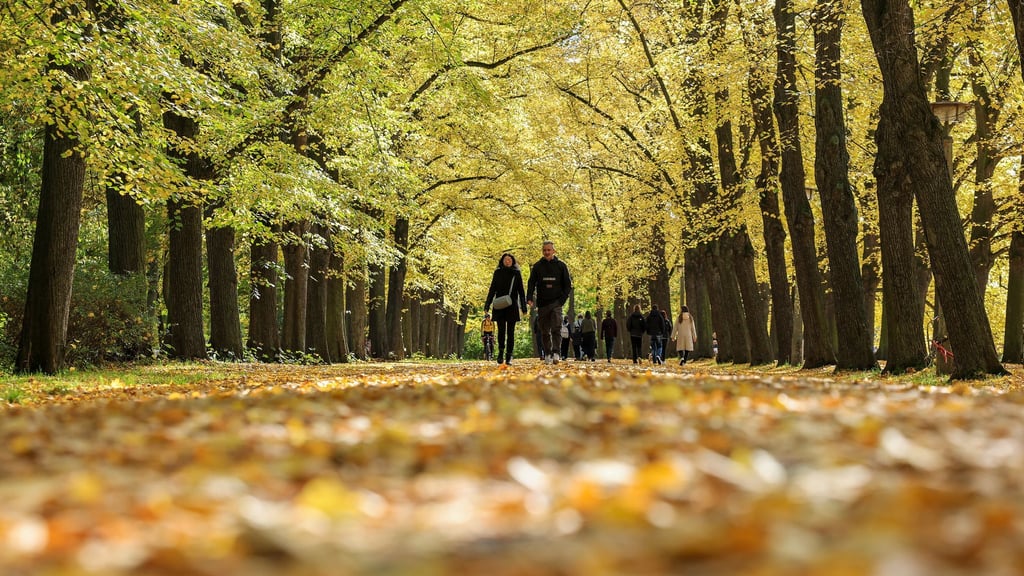 Bundesweit wurde ein zu warmer Oktober gemessen. (Archivbild)