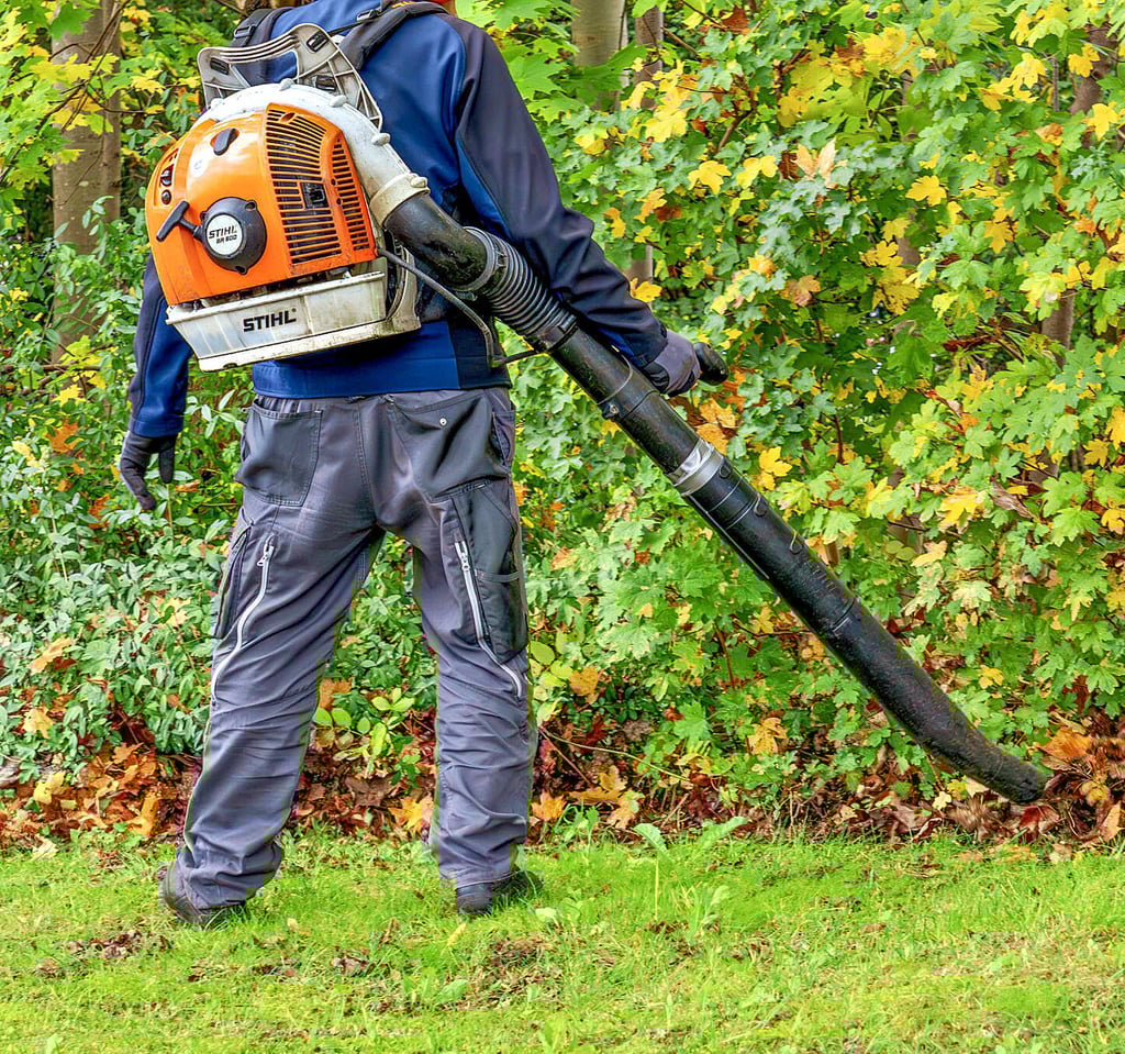 Asylbewerber können in Dessau vorerst nicht zu Arbeitseinsätzen verpflichtet werden.
