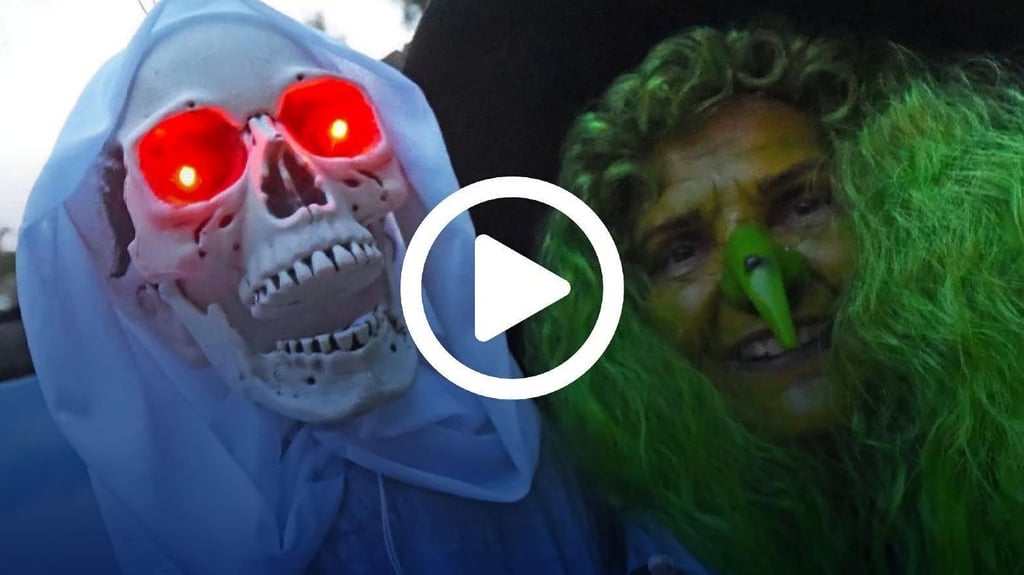 Halloween mit Gruseleffekt  im Zoo Aschersleben.