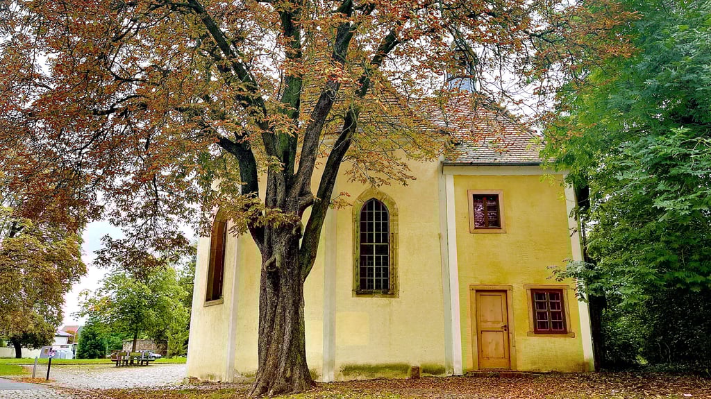 Die Roitzscher Kirche wird Anfang November zum ungewöhnlichen Veranstaltungsort – hier findet erstmals das „Kino in der Kirche“ statt.