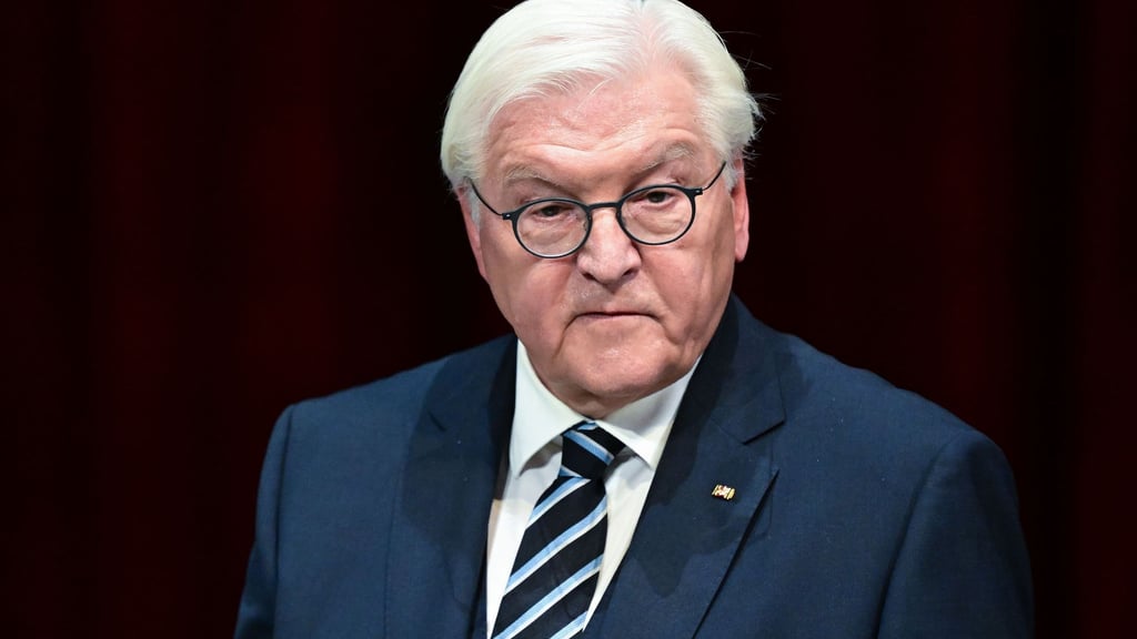 Steinmeier nutzt den Anlass für mahnende Worte.
