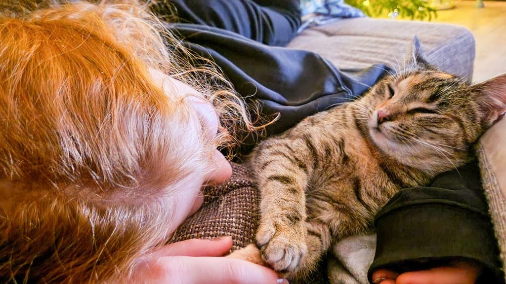 Vor einem Jahr hat sich Familie Schulz aus Meseberg in die kleine Katze Minka verliebt und sie aufgenommen.