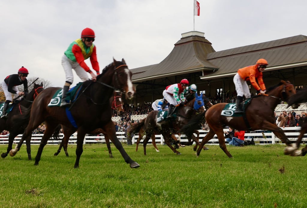 Beim Rennen um den Preis des Wohnzentrums Lührmann ging mit der Startnummer 3 auch Stute Rosel (M.) aus dem halleschen Rennstall Passendorfer Wiesen an den Start.